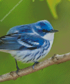 Cerulean Warbler Diamond Paintings