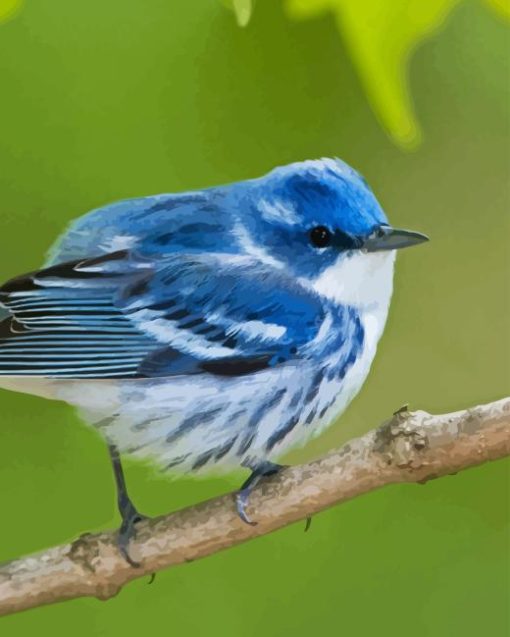 Cerulean Warbler Diamond Paintings