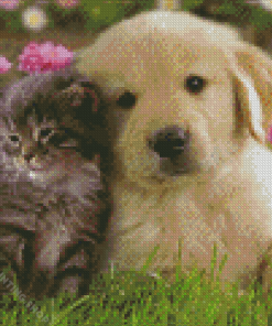 Kittens And Puppies Diamond Paintings