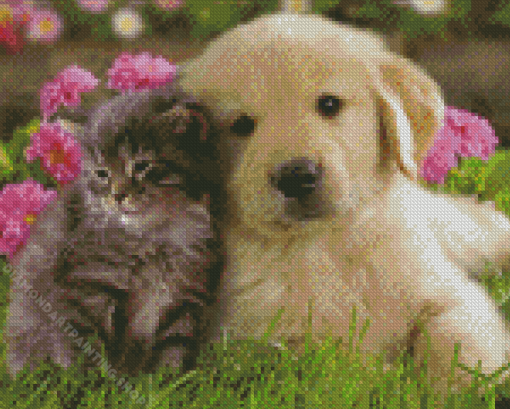 Kittens And Puppies Diamond Paintings