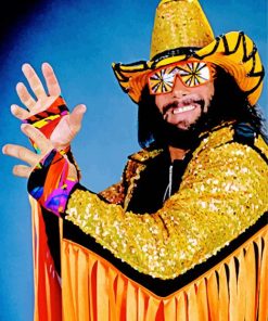 Randy Savage Diamond Paintings