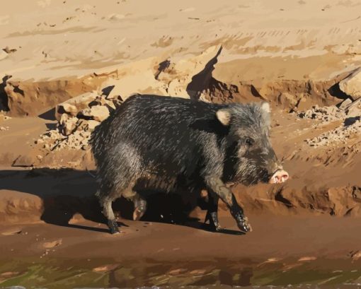 Peccary Animal Diamond Paintings