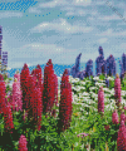 Pink Lupines Field Diamond Paintings