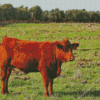 Red Baby Cattle Diamond Paintings