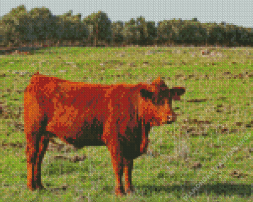 Red Baby Cattle Diamond Paintings