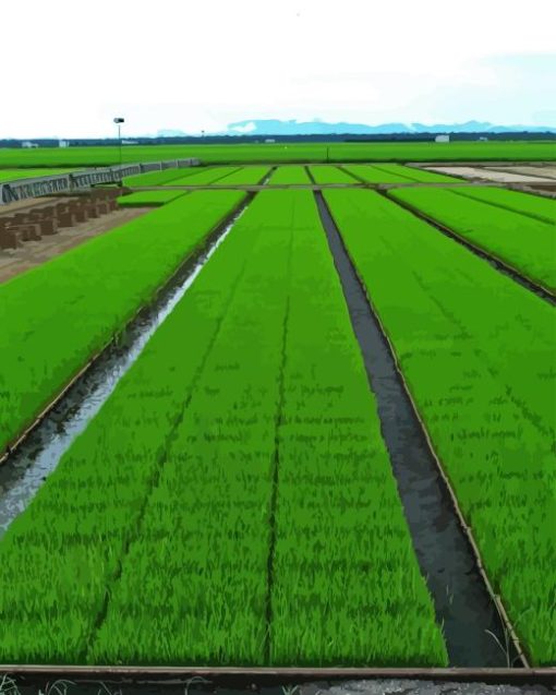 Sekinchan Paddy Fields Diamond Paintings