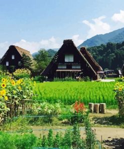 Shirakawa Diamond Paintings