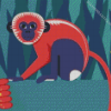 Spider Monkey Diamond Paintings