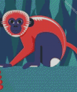 Spider Monkey Diamond Paintings