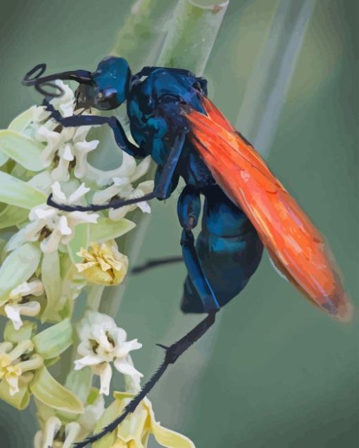 Tarantula Hawk Spider Diamond Paintings