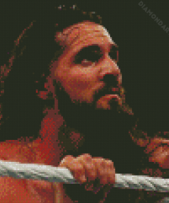 Wrestler Seth Rollins Diamond Paintings