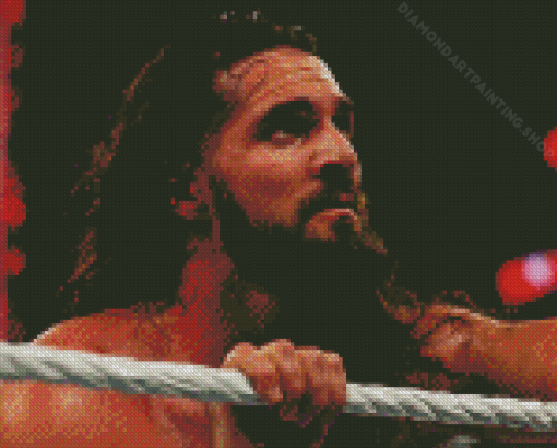 Wrestler Seth Rollins Diamond Paintings