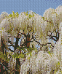 Wisteria Tree Diamond Paintings