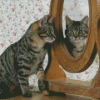 Cat In The Mirror Diamond Paintings