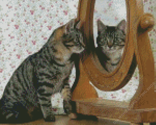 Cat In The Mirror Diamond Paintings