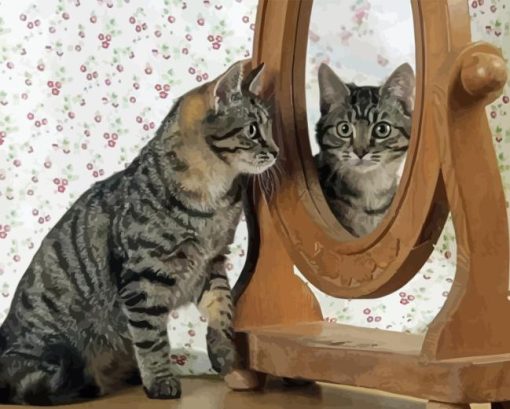 Cat In The Mirror Diamond Paintings