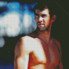 Michael Fred Phelps Diamond Paintings