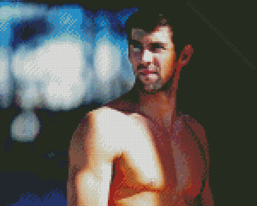 Michael Fred Phelps Diamond Paintings