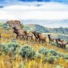 Mountain Elk Herd Diamond Paintings