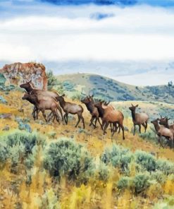 Mountain Elk Herd Diamond Paintings