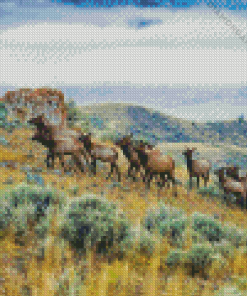 Mountain Elk Herd Diamond Paintings