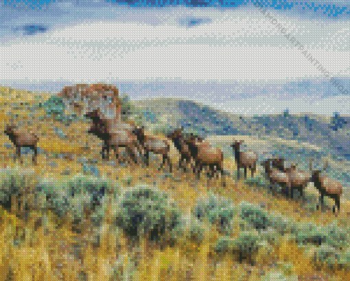 Mountain Elk Herd Diamond Paintings