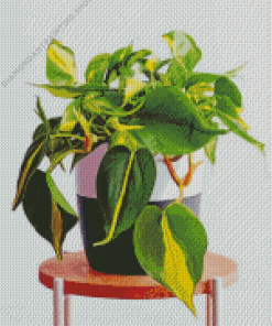 Philodendron Diamond Paintings