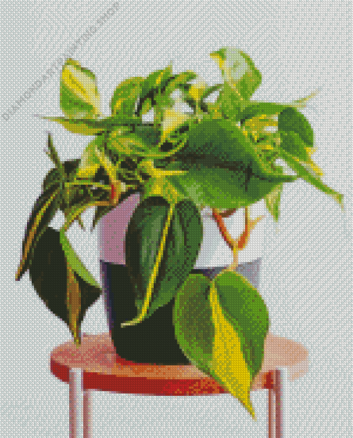 Philodendron Diamond Paintings