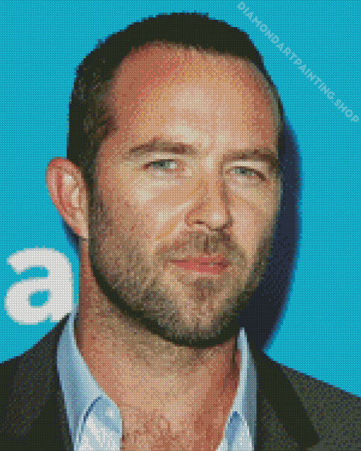 Sullivan Stapleton Diamond Paintings