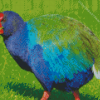 Takahe Diamond Paintings