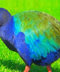 Takahe Diamond Paintings