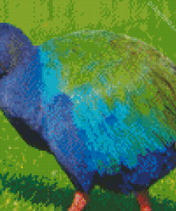 Takahe Diamond Paintings