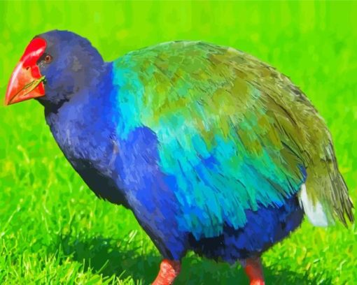 Takahe Diamond Paintings