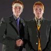 Weasley Twin Diamond Paintings