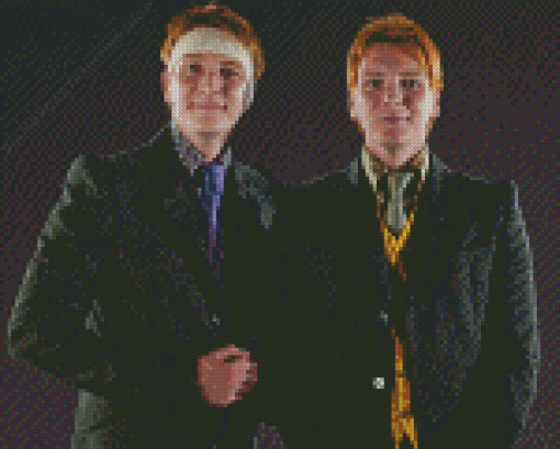 Weasley Twin Diamond Paintings