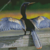 Anhinga Wings Diamond Paintings