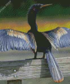 Anhinga Wings Diamond Paintings