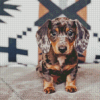 Dapple Dachshund Diamond Paintings