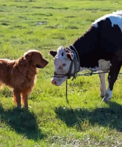 Dog And Cow Diamond Paintings