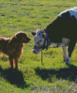 Dog And Cow Diamond Paintings