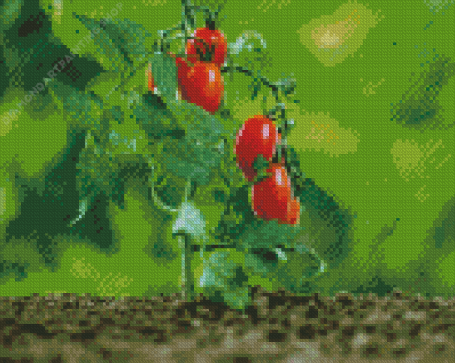 Tomato Plant Diamond Paintings