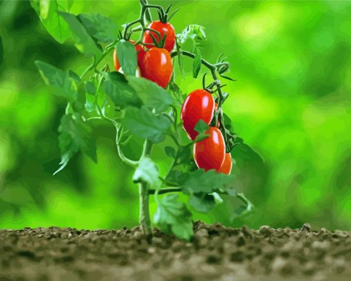 Tomato Plant Diamond Paintings