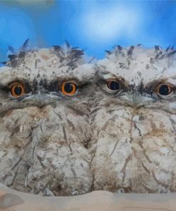 Little Frogmouth Diamond Paintings