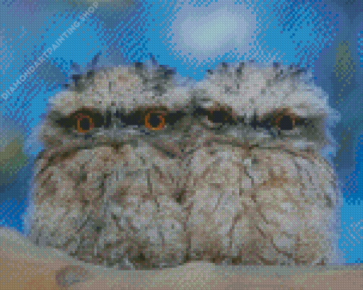 Little Frogmouth Diamond Paintings