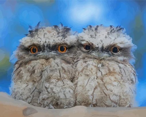 Little Frogmouth Diamond Paintings