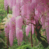 Pink Wisteria Tree Diamond Paintings