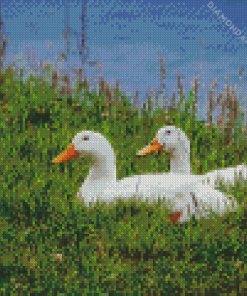 The Pekin Ducks Diamond Paintings