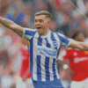 Brighton Footballer Diamond Paintings