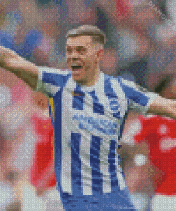 Brighton Footballer Diamond Paintings