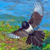 Eurasian Magpie Diamond Paintings